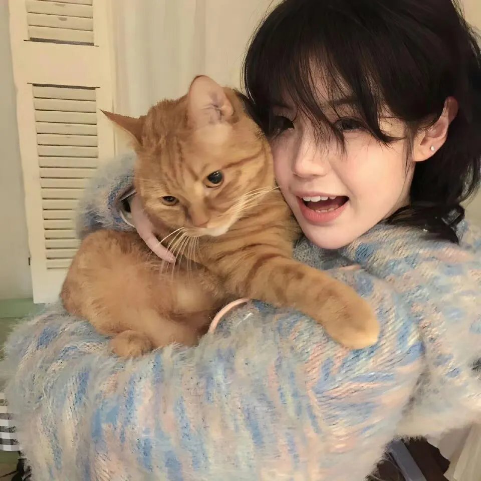 永远的记忆之血战黎明前